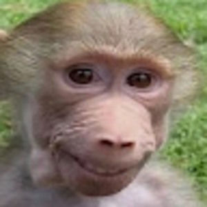 Meet your Posher, Alessandra